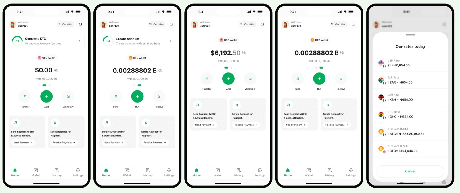 Mavapay Money final homepage screens across onboarding states